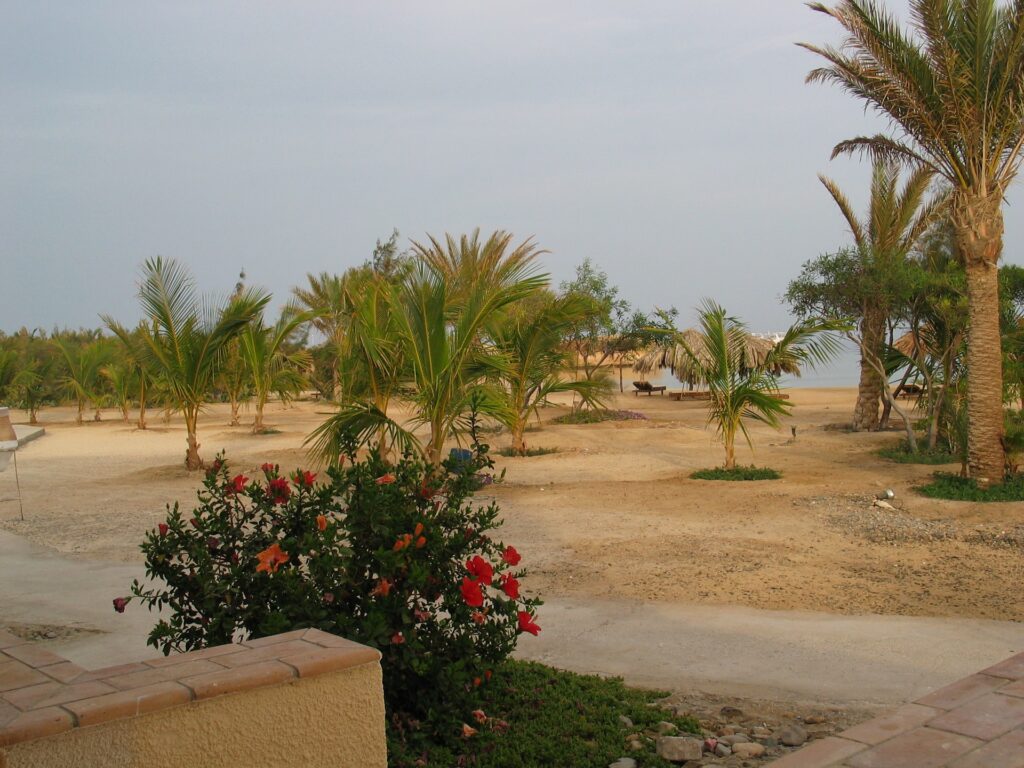 Blick von der Terrasse